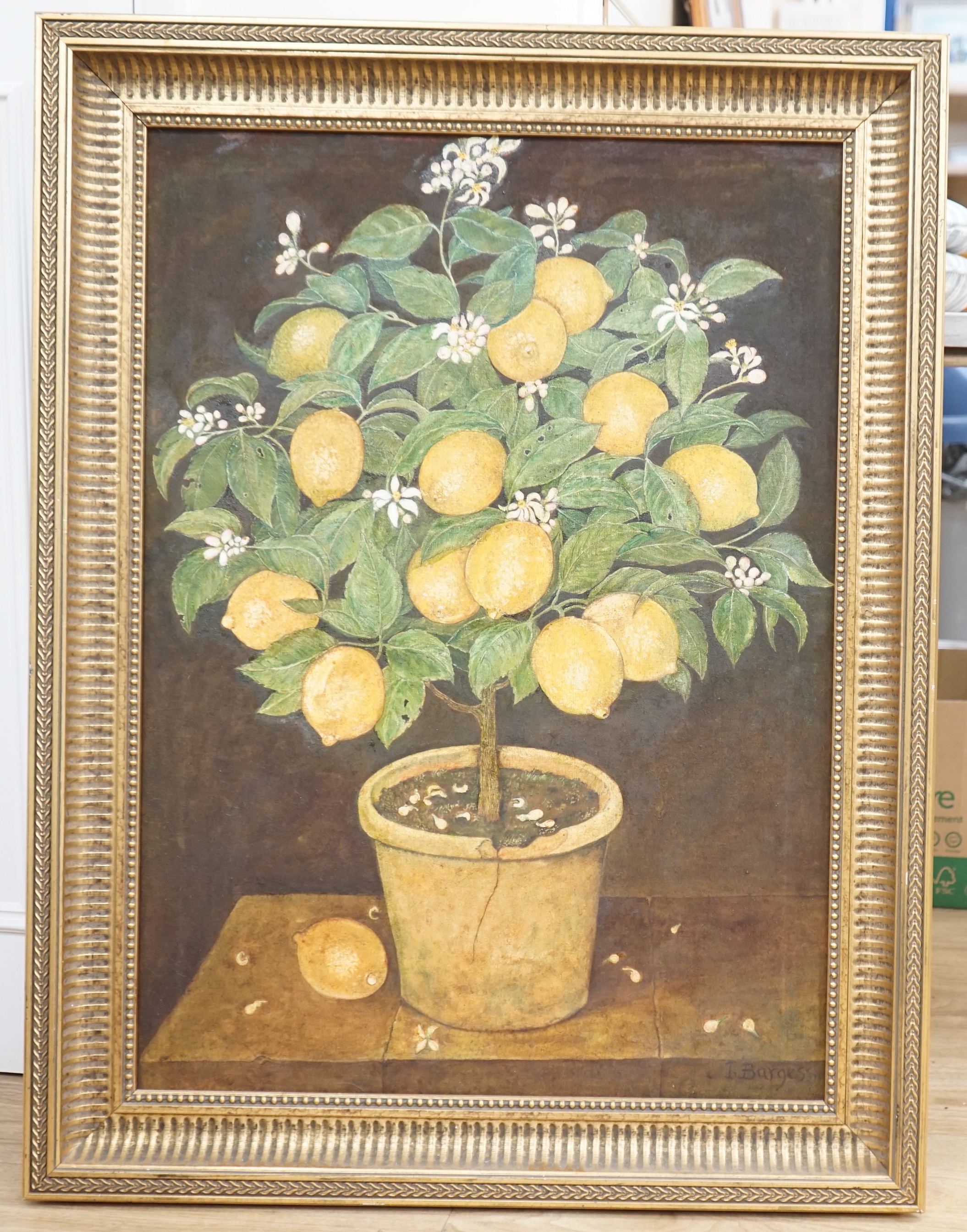 I. Burgess, oil on canvas, still life of a lemon tree, 82cm x 59cm